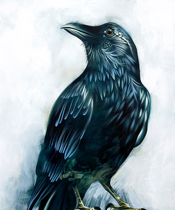 raven painting in acrylic by Canadian artist Leah Pipe
