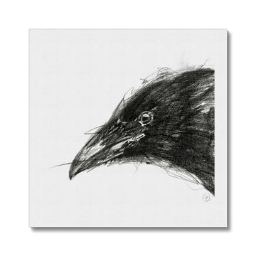 Crow Star Point - Canvas