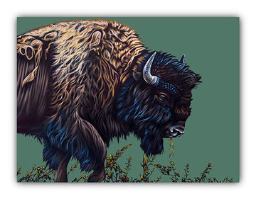 Buffalo Dusk - Canvas