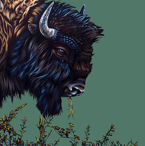 Buffalo Dusk - Canvas