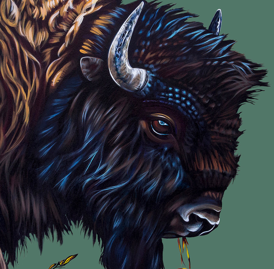 Buffalo Dusk - Canvas