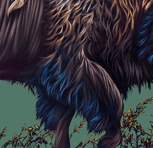 Buffalo Dusk - Canvas