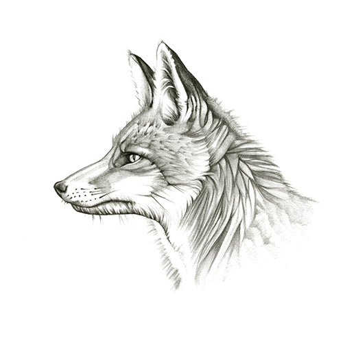 Hunts Alone - Canvas