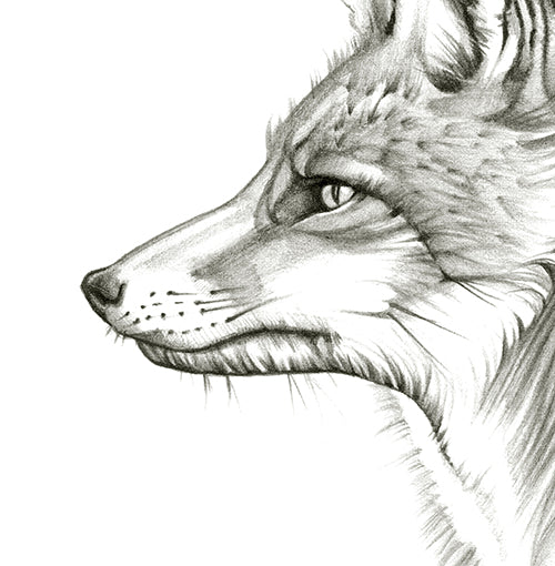 Hunts Alone - Canvas