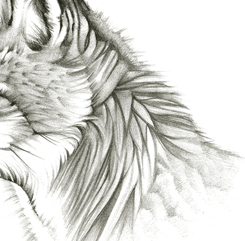 Hunts Alone - Canvas