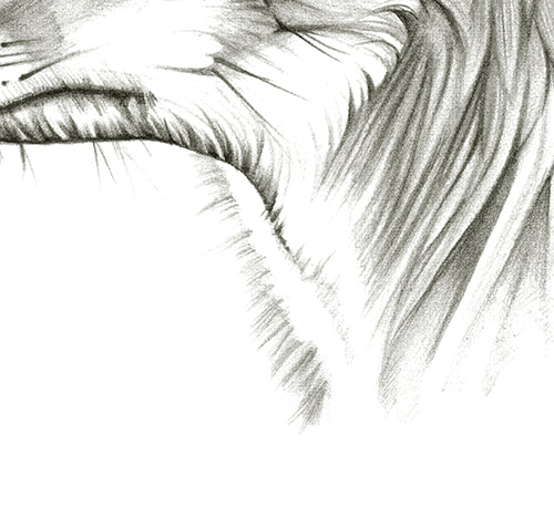 Hunts Alone - Canvas