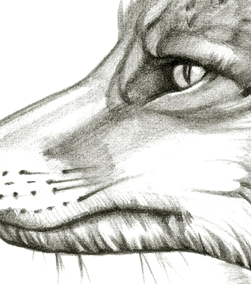 Hunts Alone - Canvas