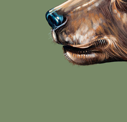 The Forest King - Canvas