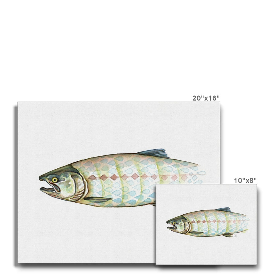 Harlequin Salmon - Canvas