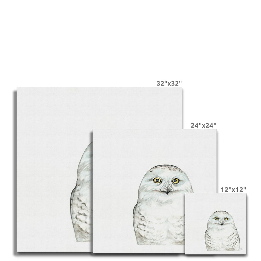Snowy Owl - Canvas