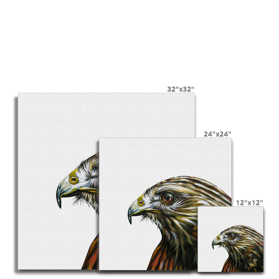 Little Hawk - Canvas