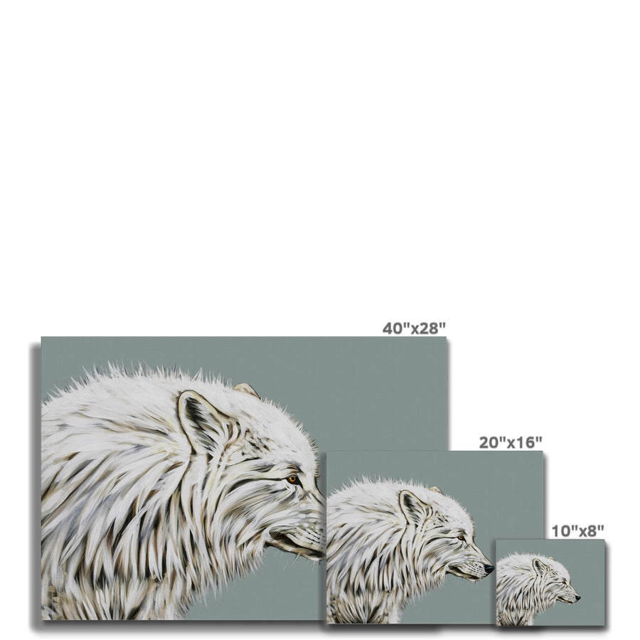Dreaming of a White Wolf - Canvas