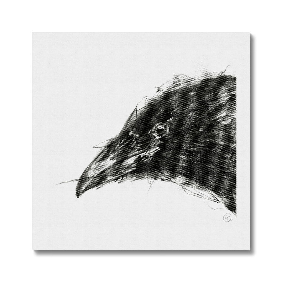 Crow Star Point - Canvas