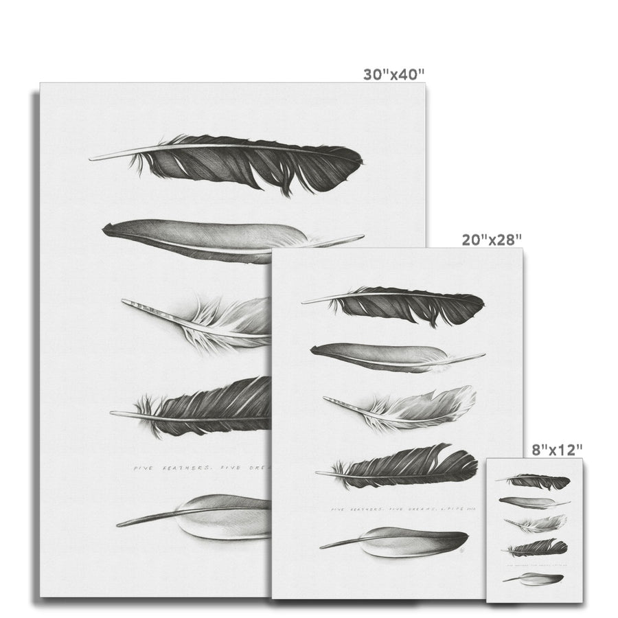 Five Feathers - Canvas