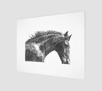 Gentle Horse - Art Print