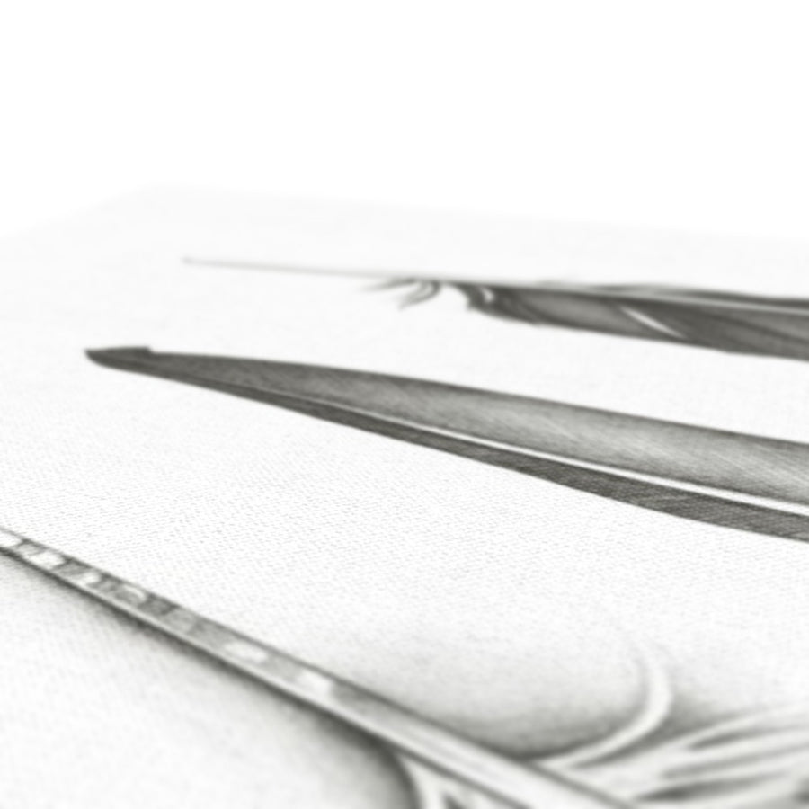 Five Feathers - Canvas