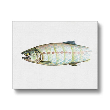 Harlequin Salmon - Canvas
