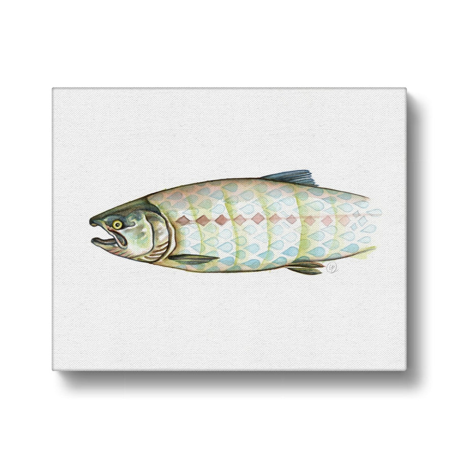 Harlequin Salmon - Canvas
