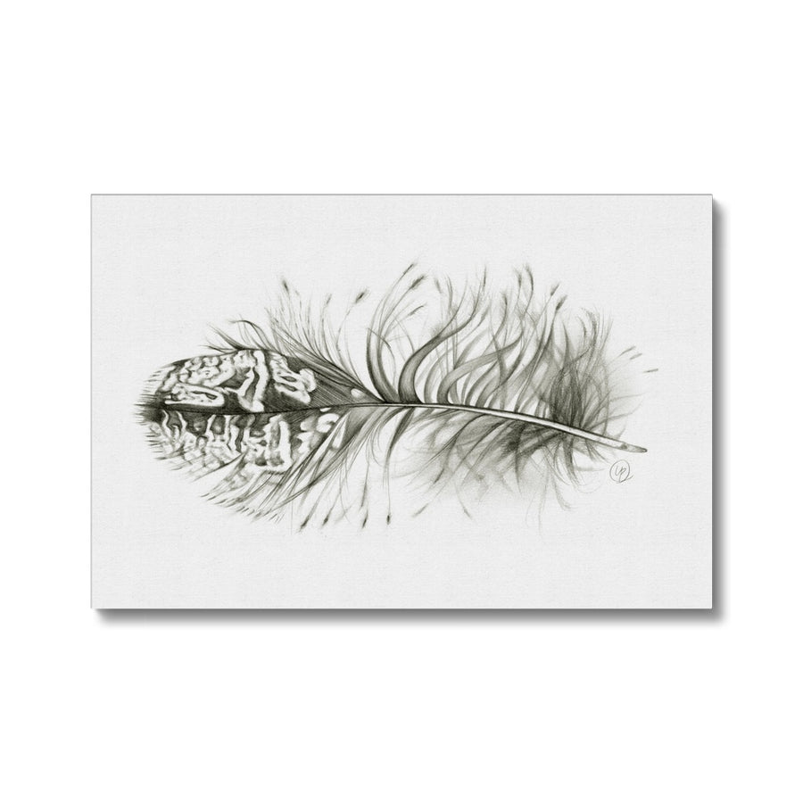 Owl Feather - Canvas