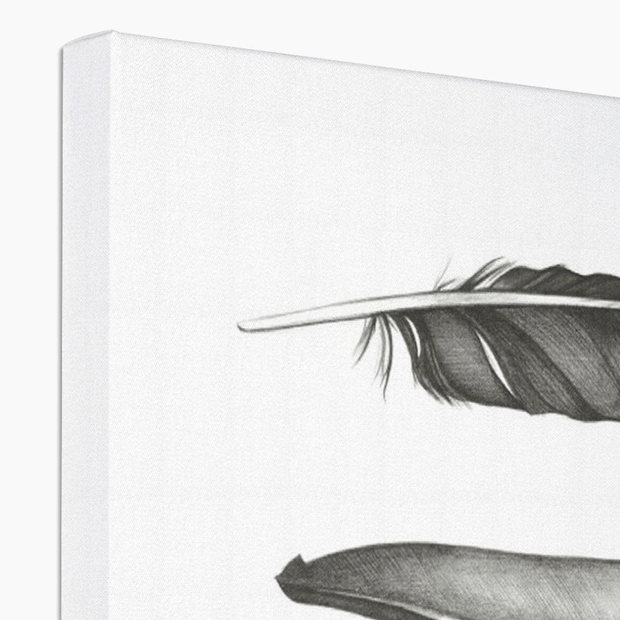 Five Feathers - Canvas