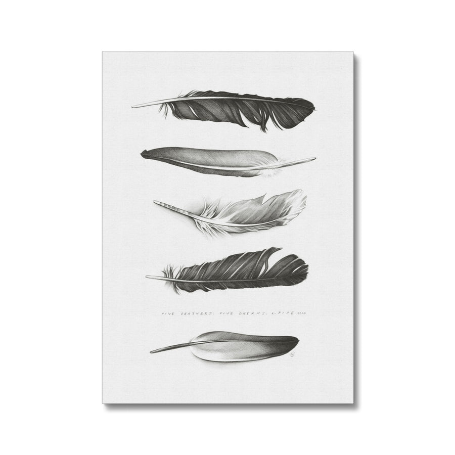 Five Feathers - Canvas