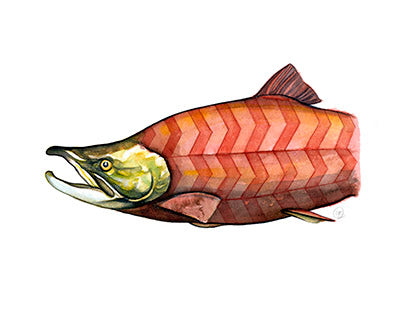 Harlequin & Chevron Salmon - Long Sleeve T