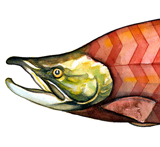 Harlequin Chevron Salmon - Pencil Case