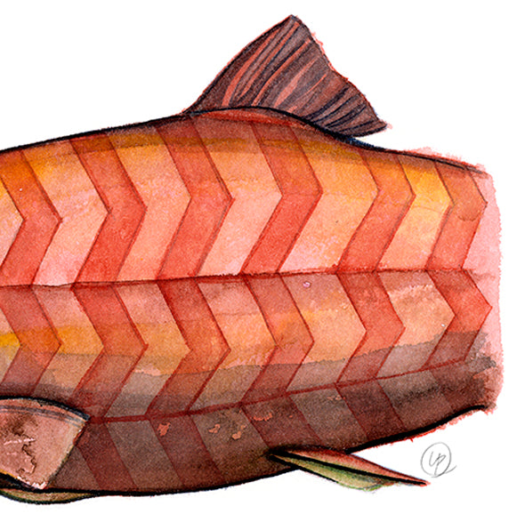 Chevron Salmon - Art Print