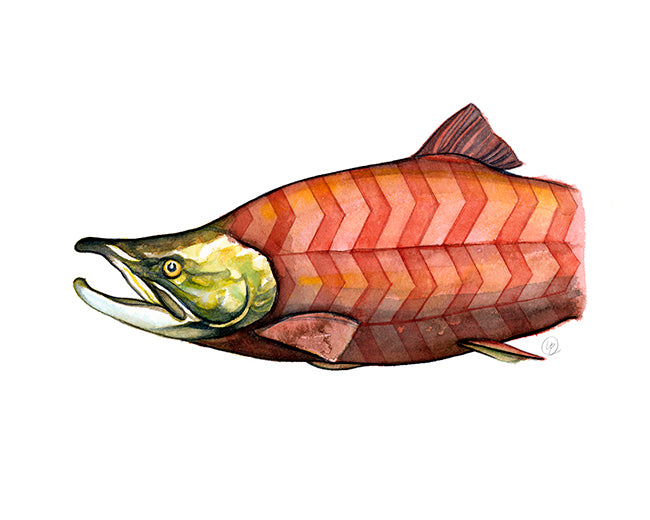 Harlequin Chevron Salmon - Pencil Case