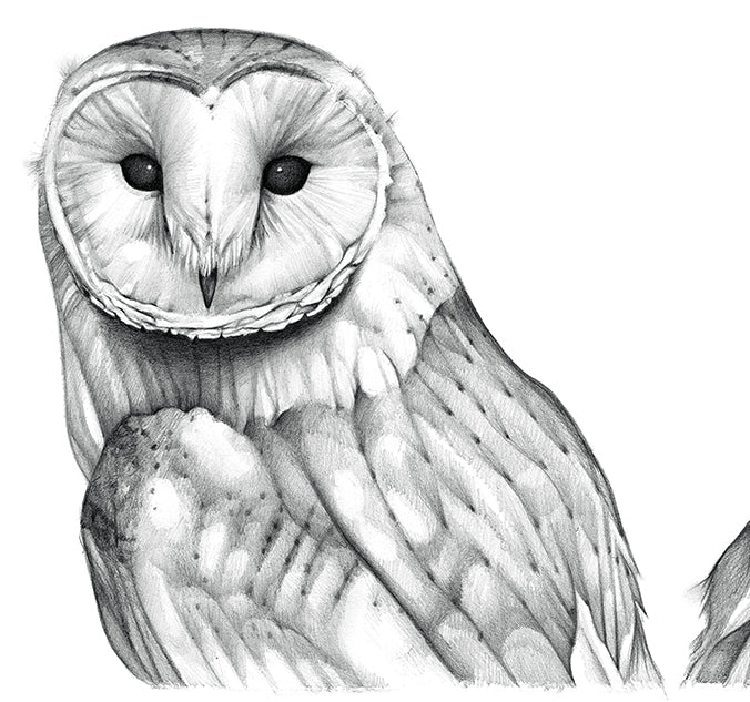 Day & Night - Art Print