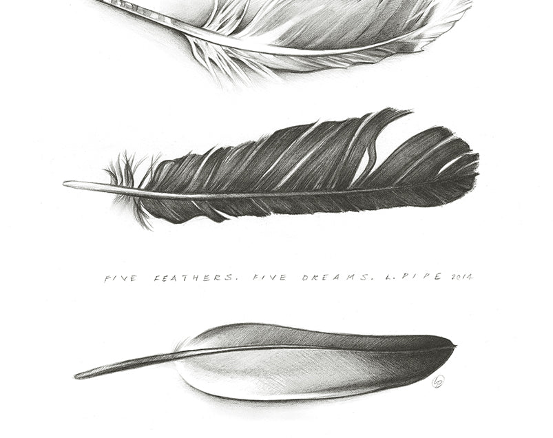Five Feathers - Canvas