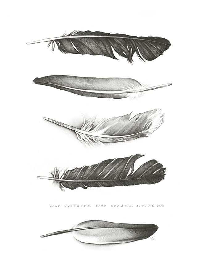 Five Feathers - Canvas