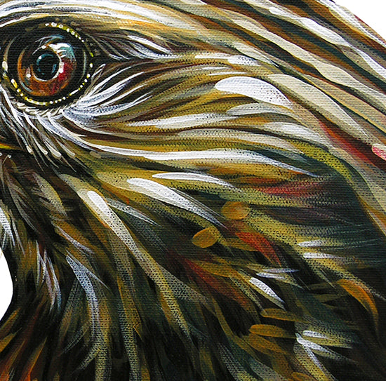 Little Hawk - Canvas