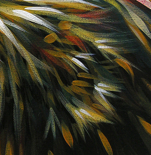 Little Hawk - Canvas