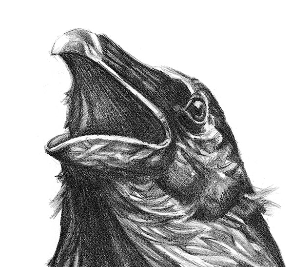 My Call To You Is In The Wind - Art Print