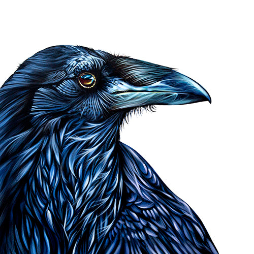Raven Ridge - Canvas