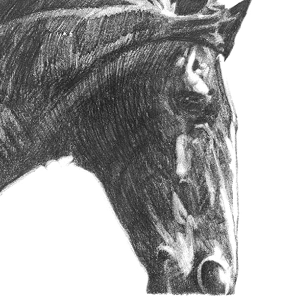 Gentle Horse - Art Print