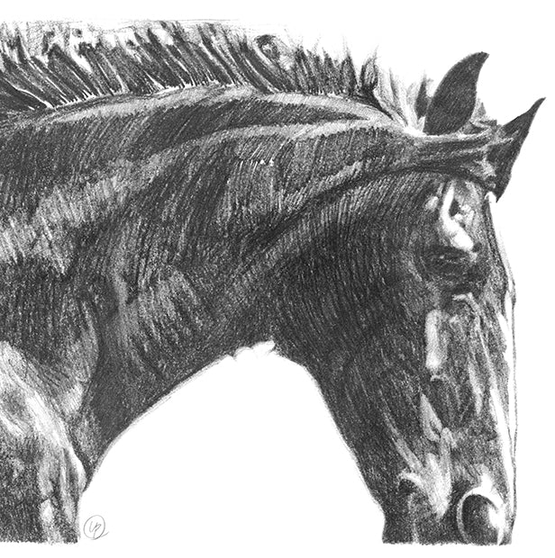 Gentle Horse - Art Print