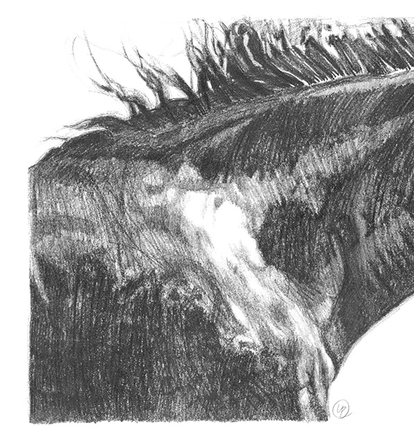 Gentle Horse - Art Print