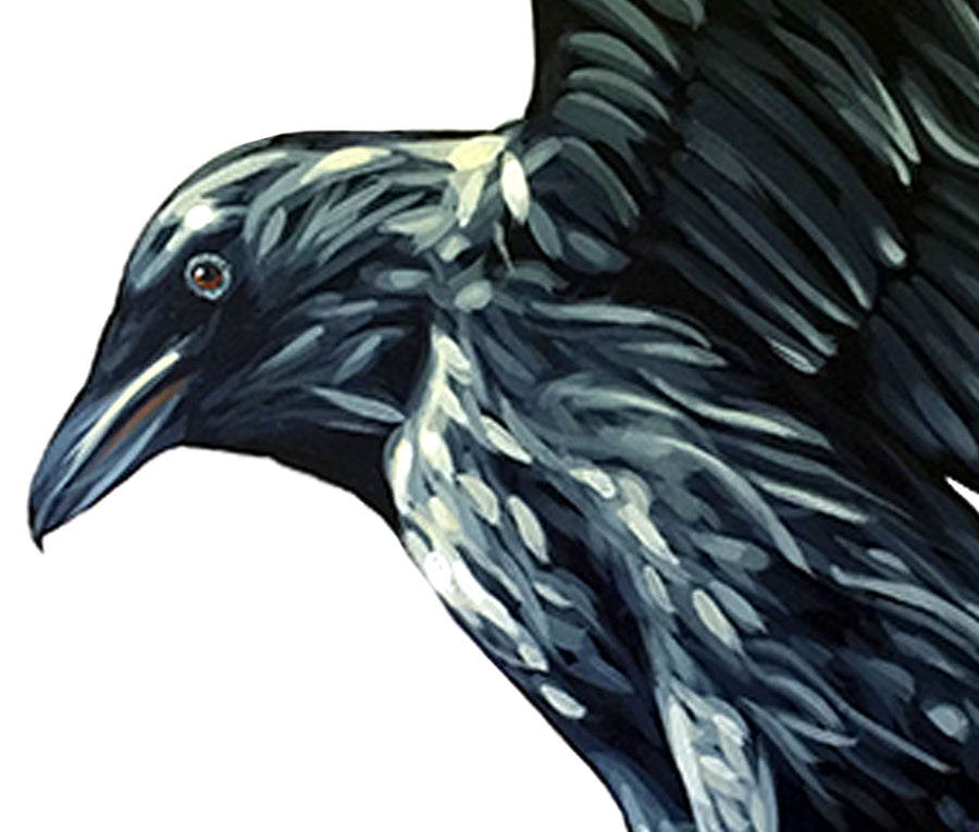 The Harvest Ravens - Canvas