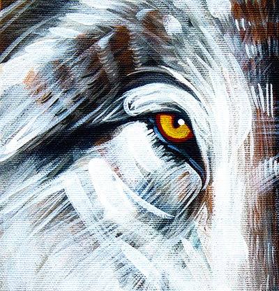 Wolf River - Canvas