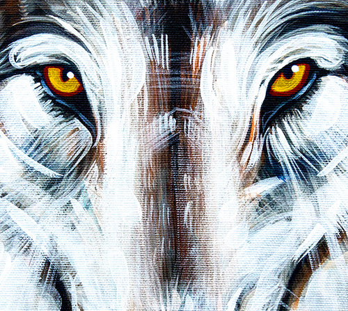 Wolf River - Canvas