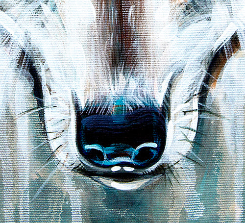 Wolf River - Canvas