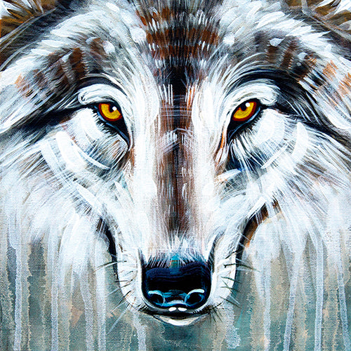 Wolf River - Canvas