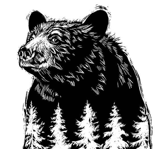 Bear River - Art Print