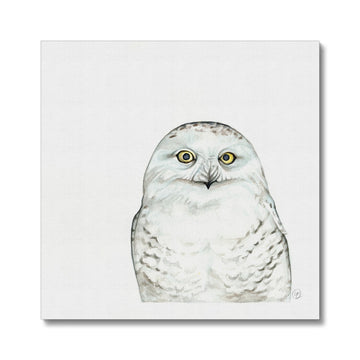 Snowy Owl - Canvas