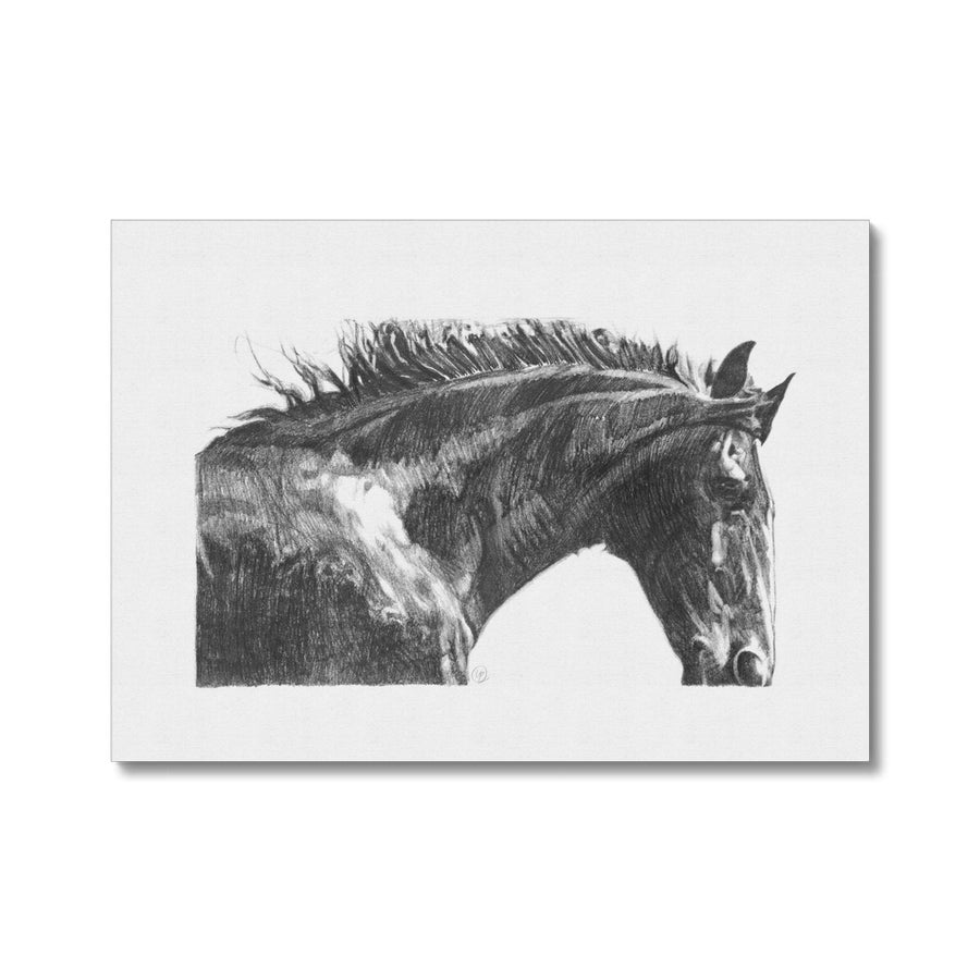 The Gentle Horse - Canvas
