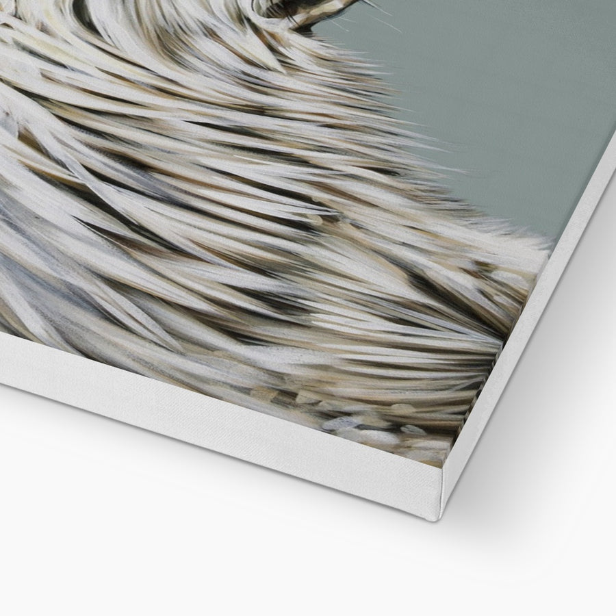 Dreaming of a White Wolf - Canvas