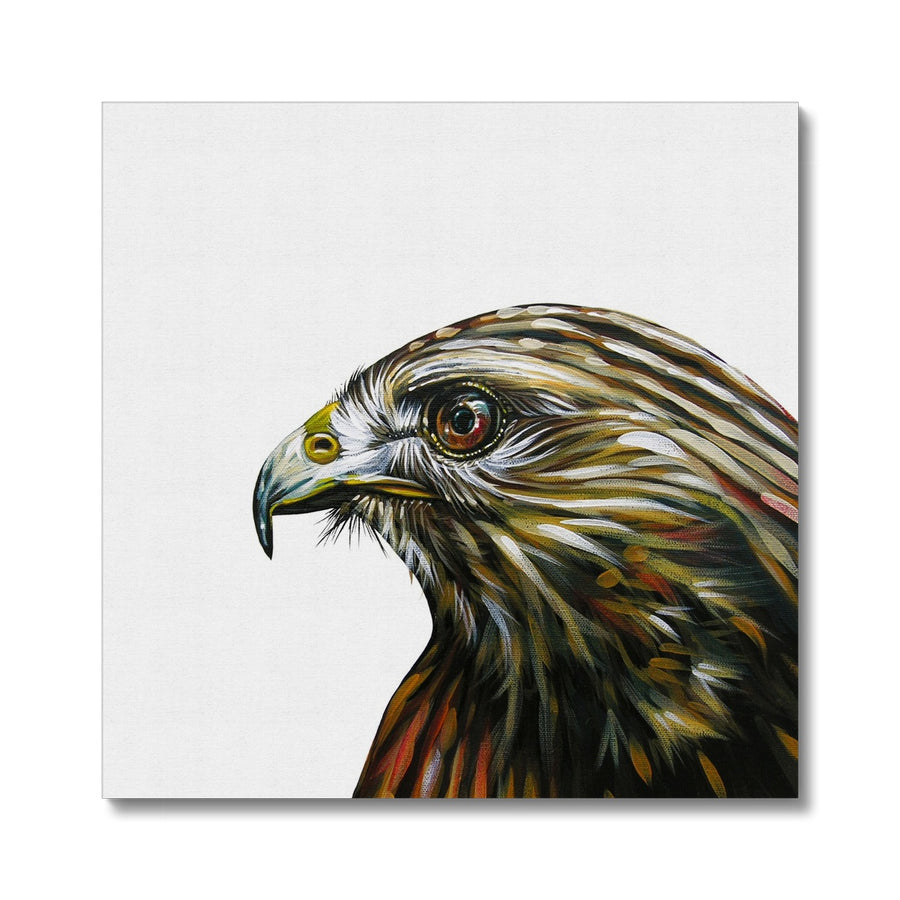 Little Hawk - Canvas