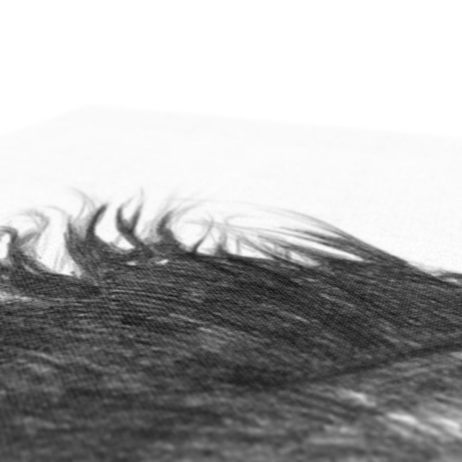The Wind Horses - Canvas